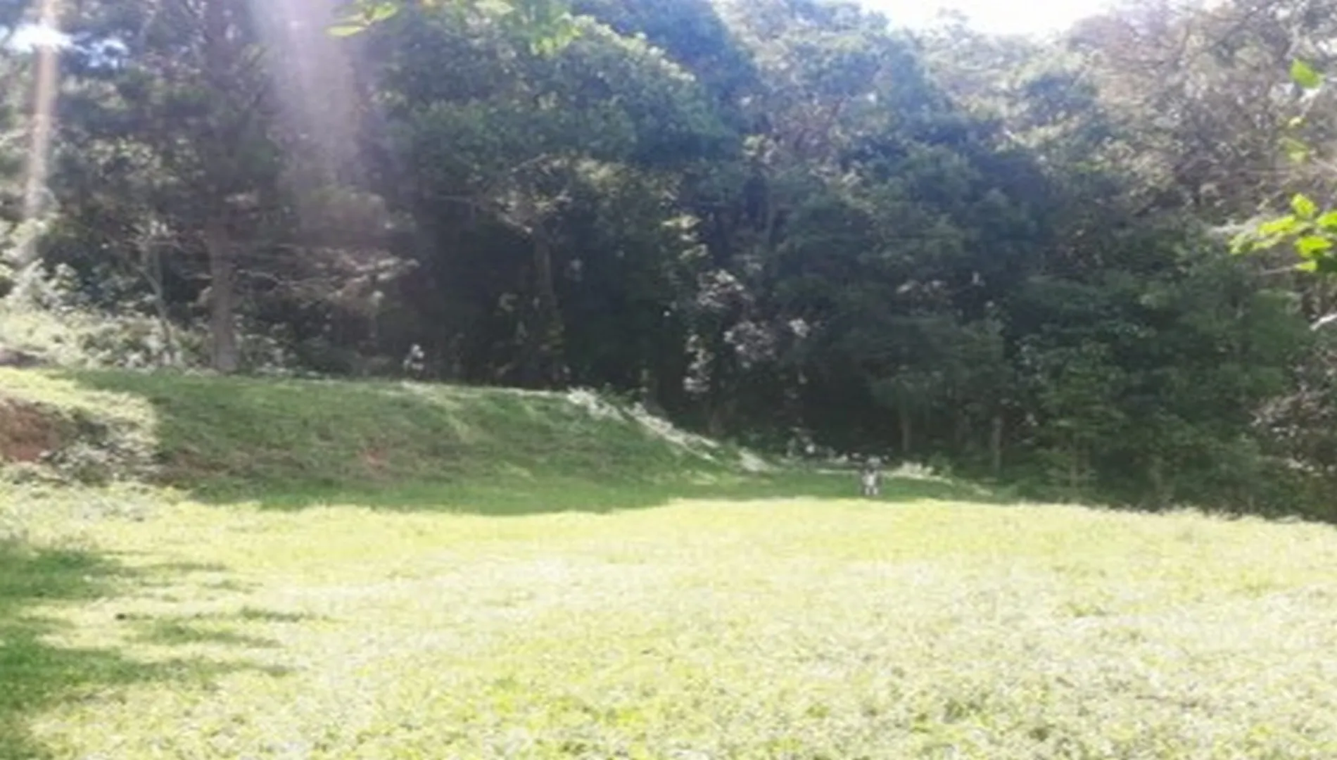 Imagem 8 do Sítio em Ibiúna SP