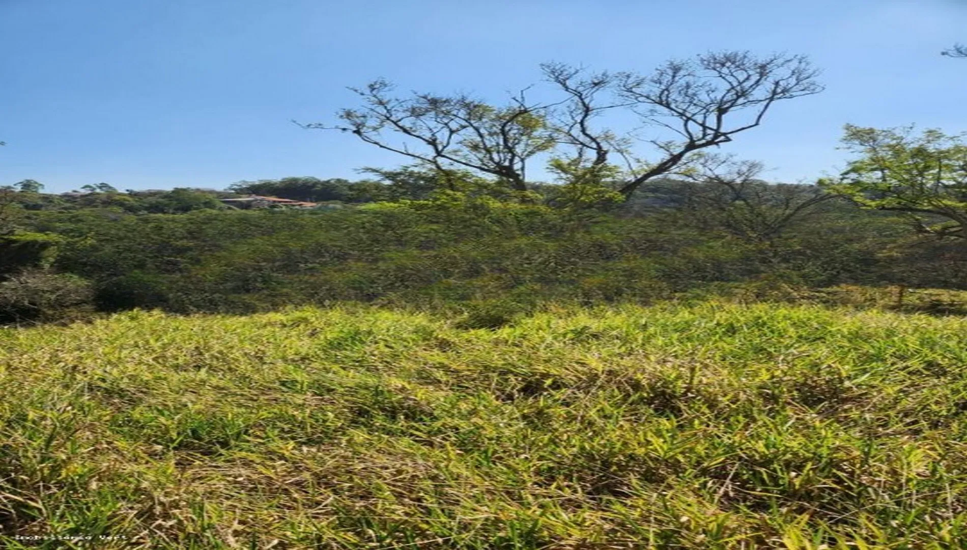 Imagem 12 do Sítio em Piedade