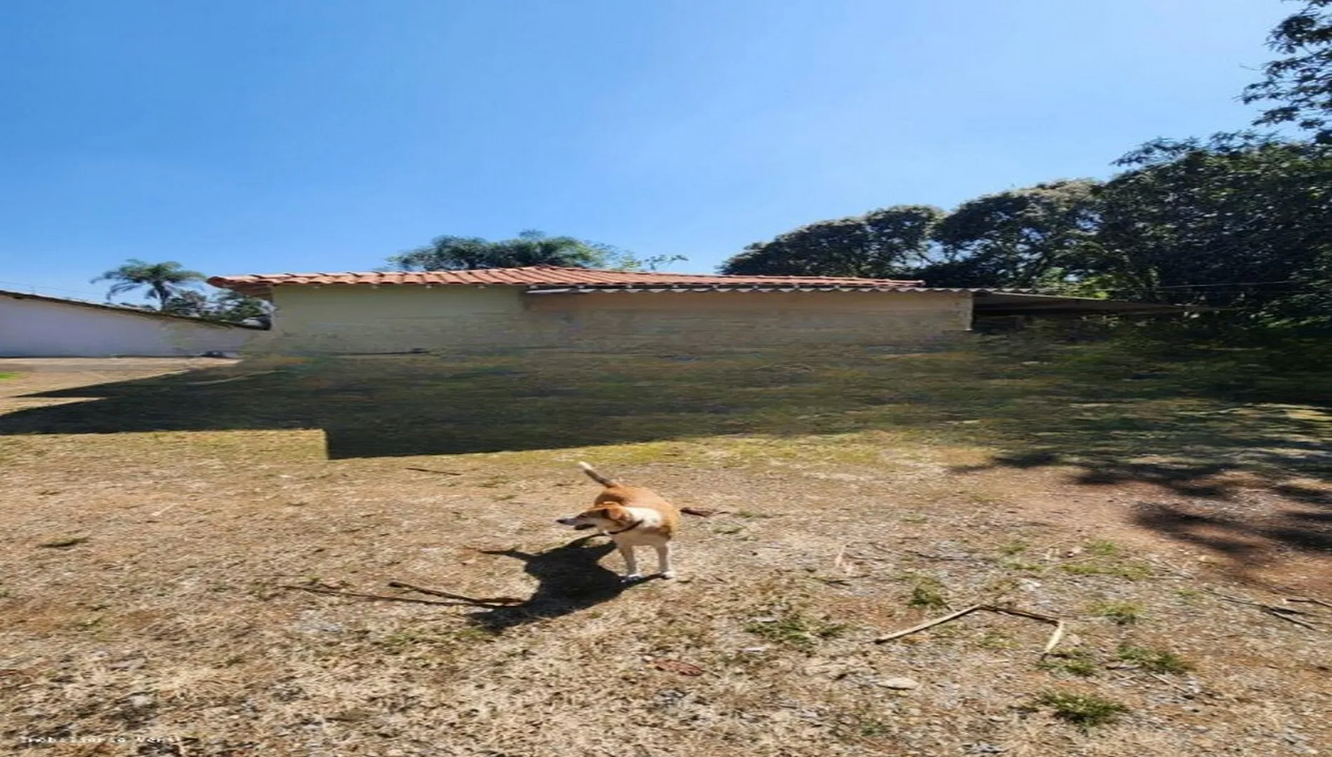 Imagem 13 do Sítio em Piedade