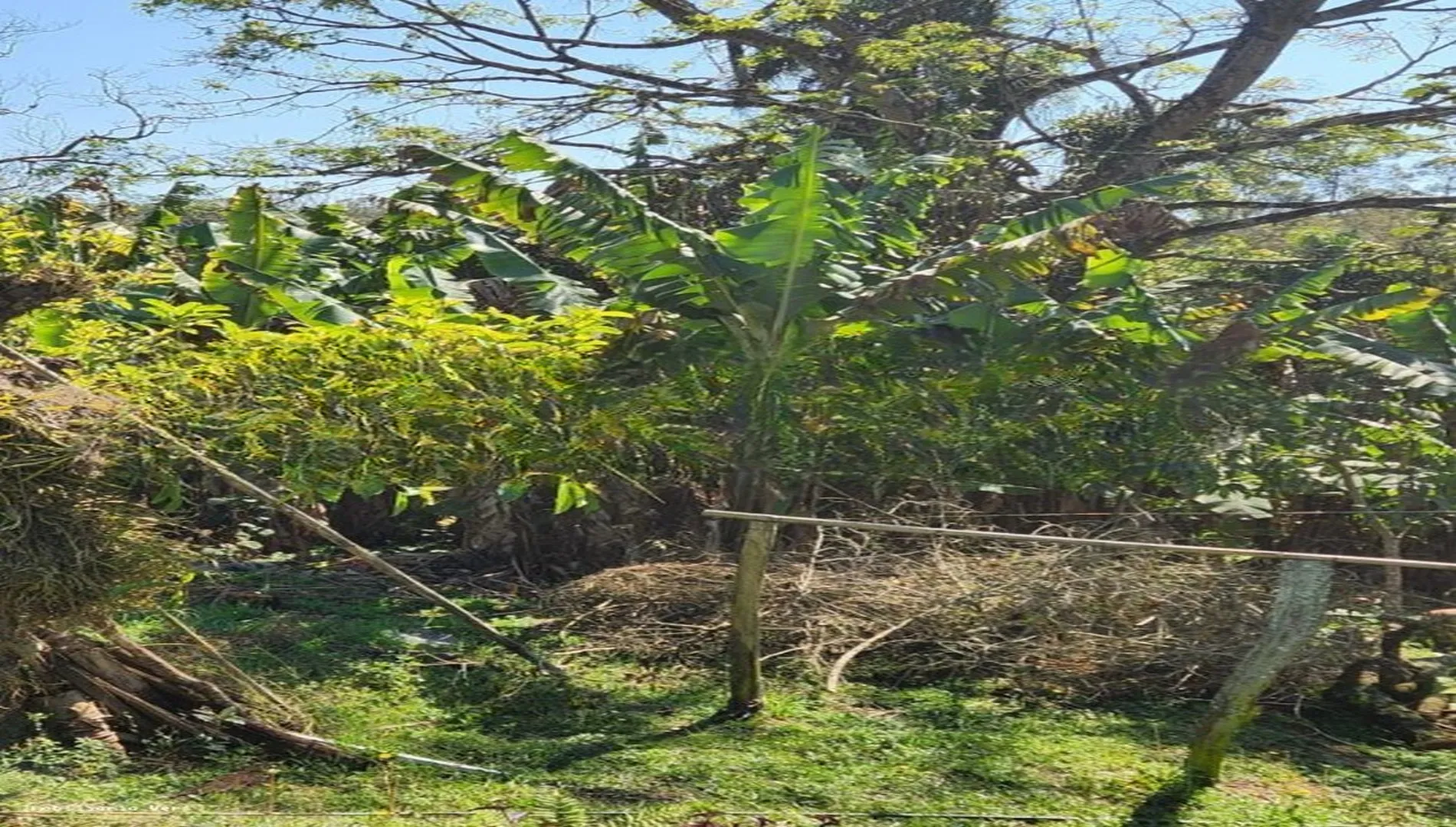 Imagem 2 do Sítio em Piedade