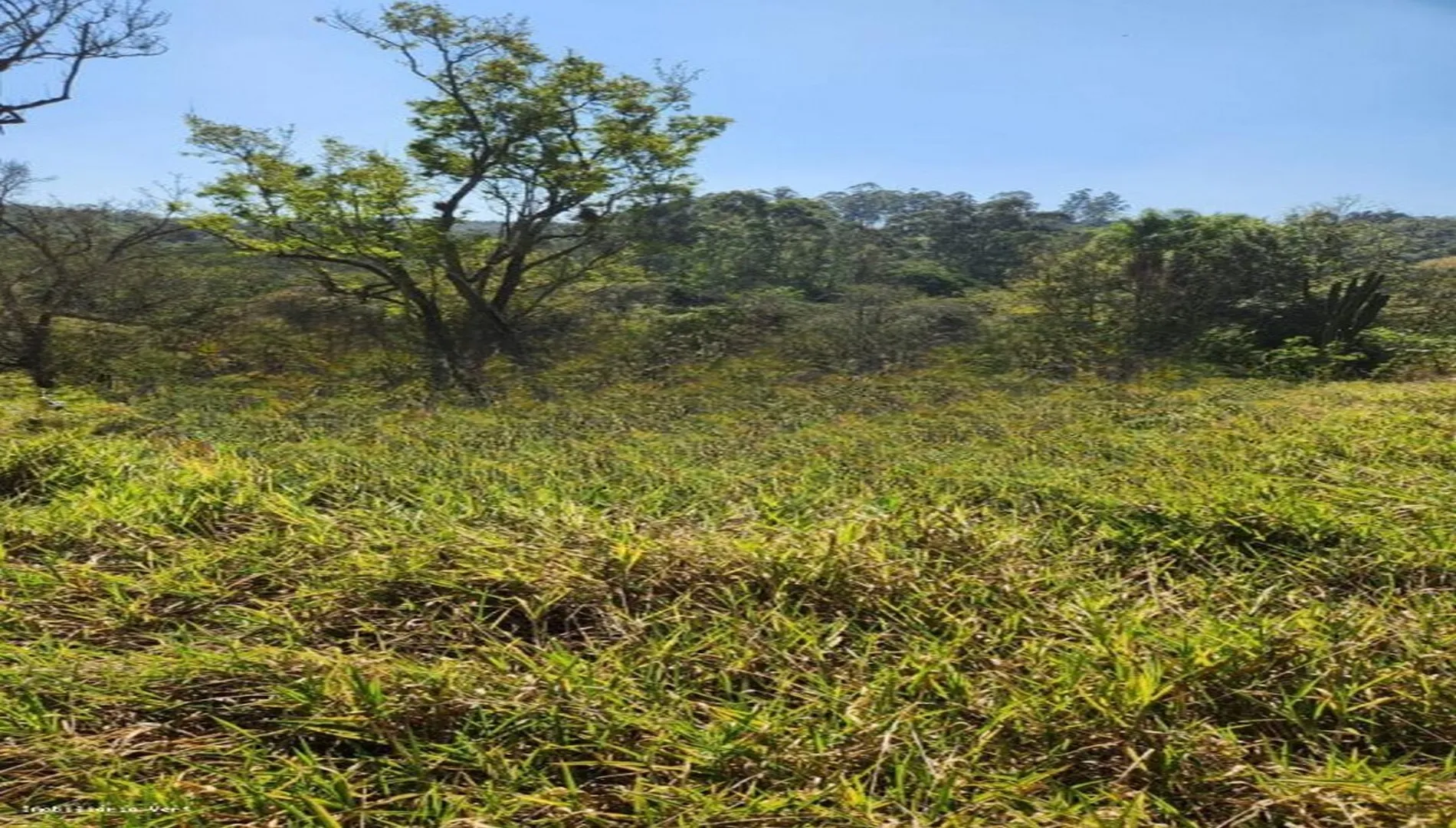 Imagem 7 do Sítio em Piedade