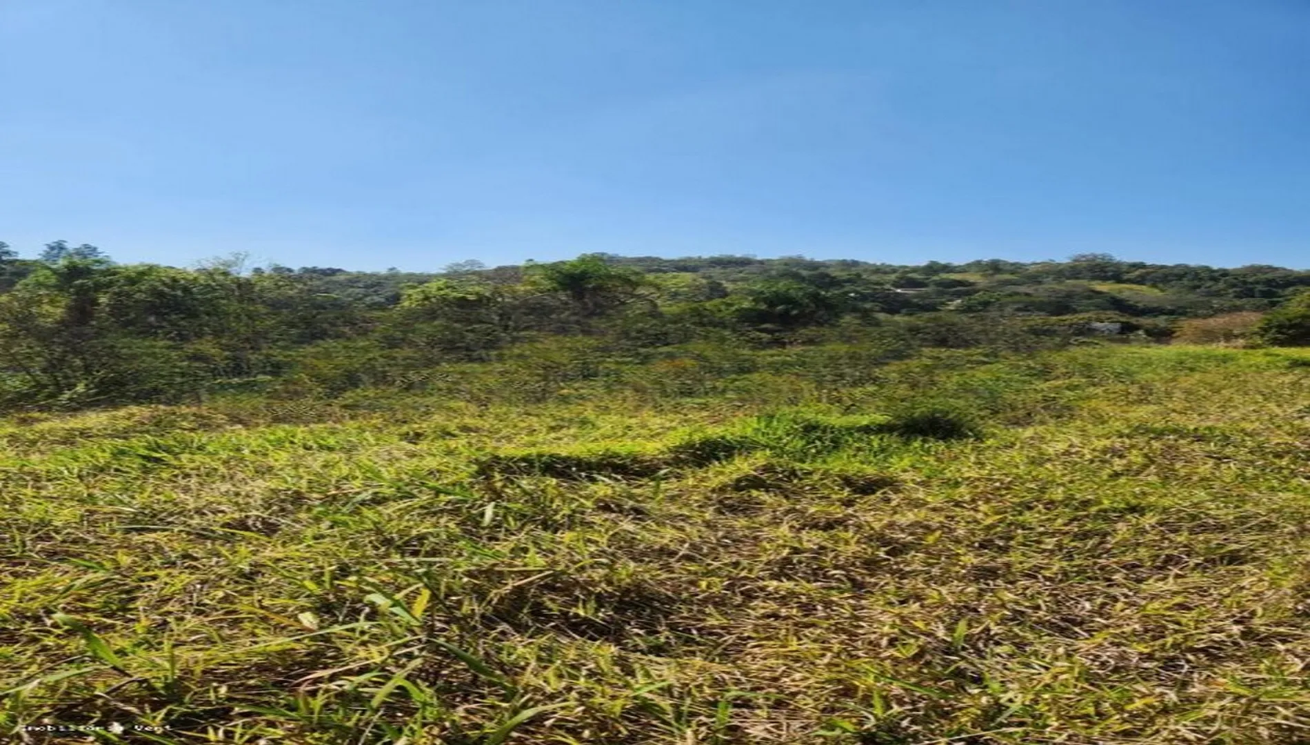 Imagem 8 do Sítio em Piedade