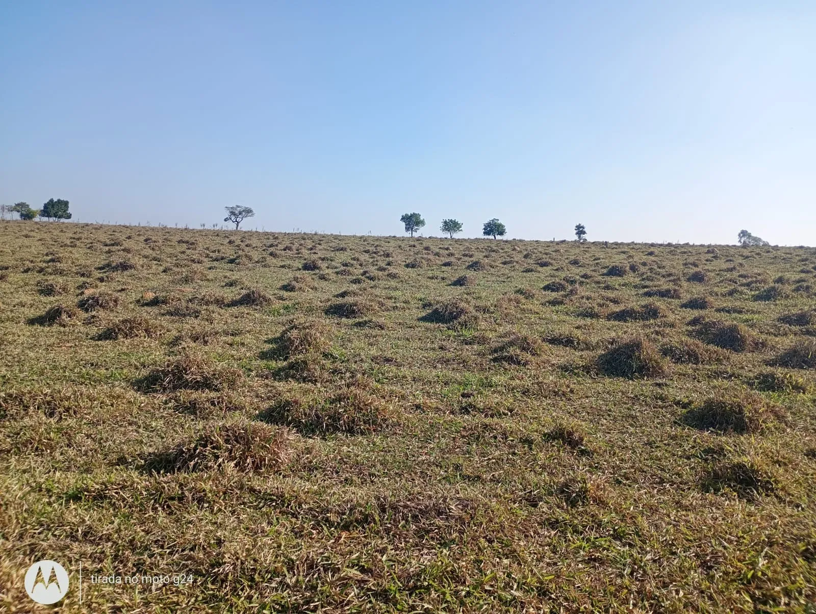 Imagem do Sítio 40.000m²