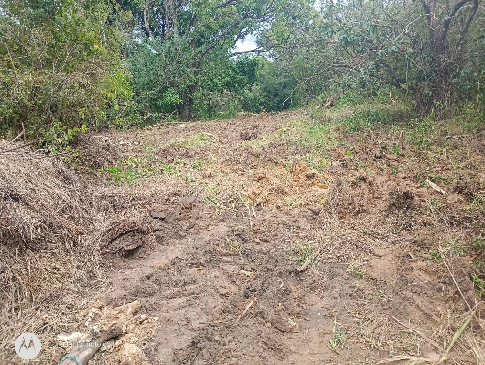 Imagem do Sítio 46.000m²