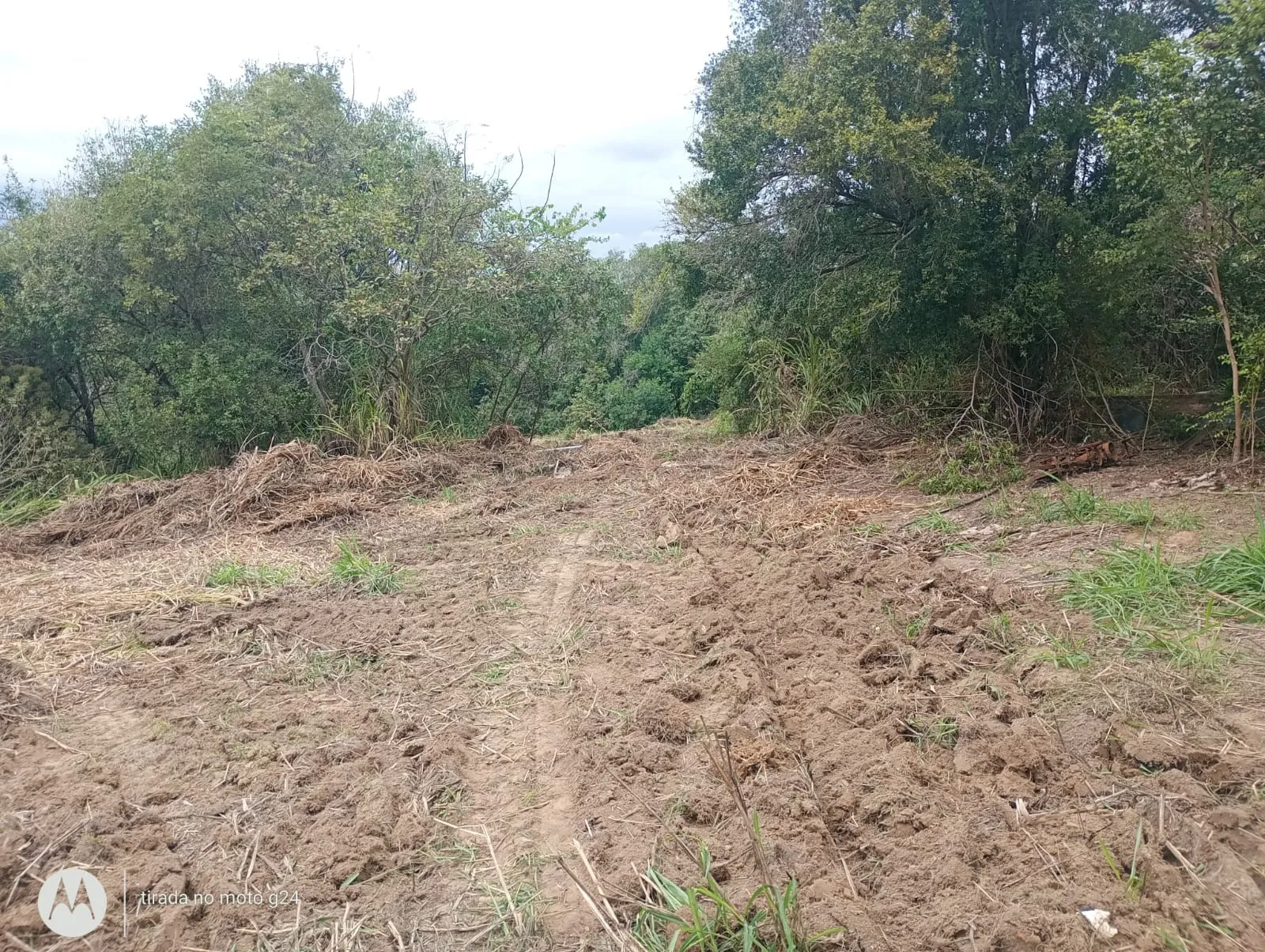 Imagem do Sítio 46.000m²