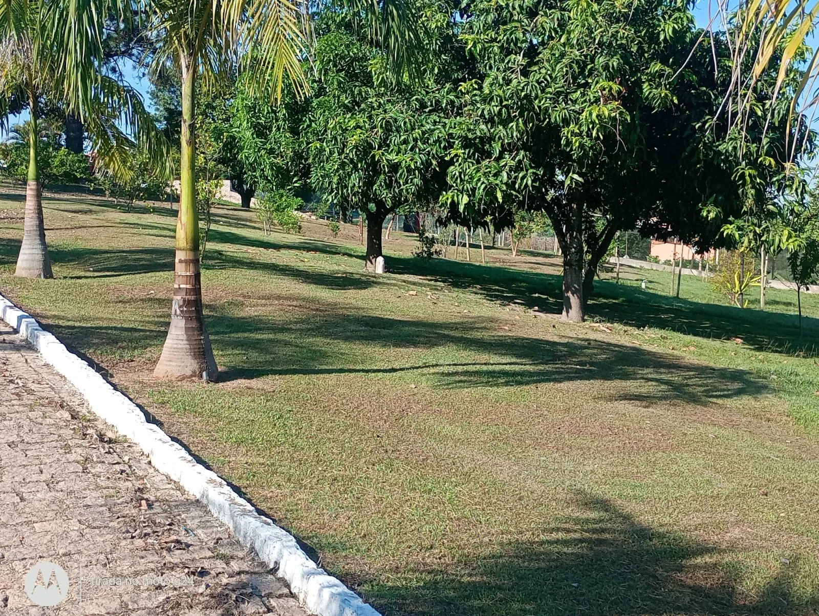 Imagem do Sítio 80.000m²