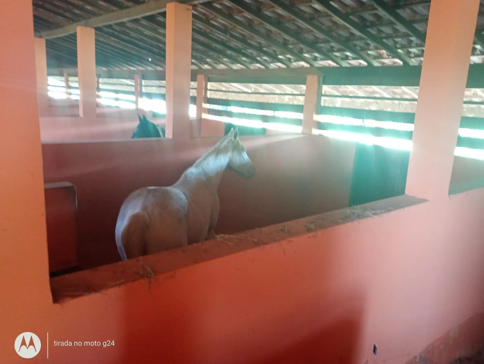 Imagem do Sítio 80.000m²