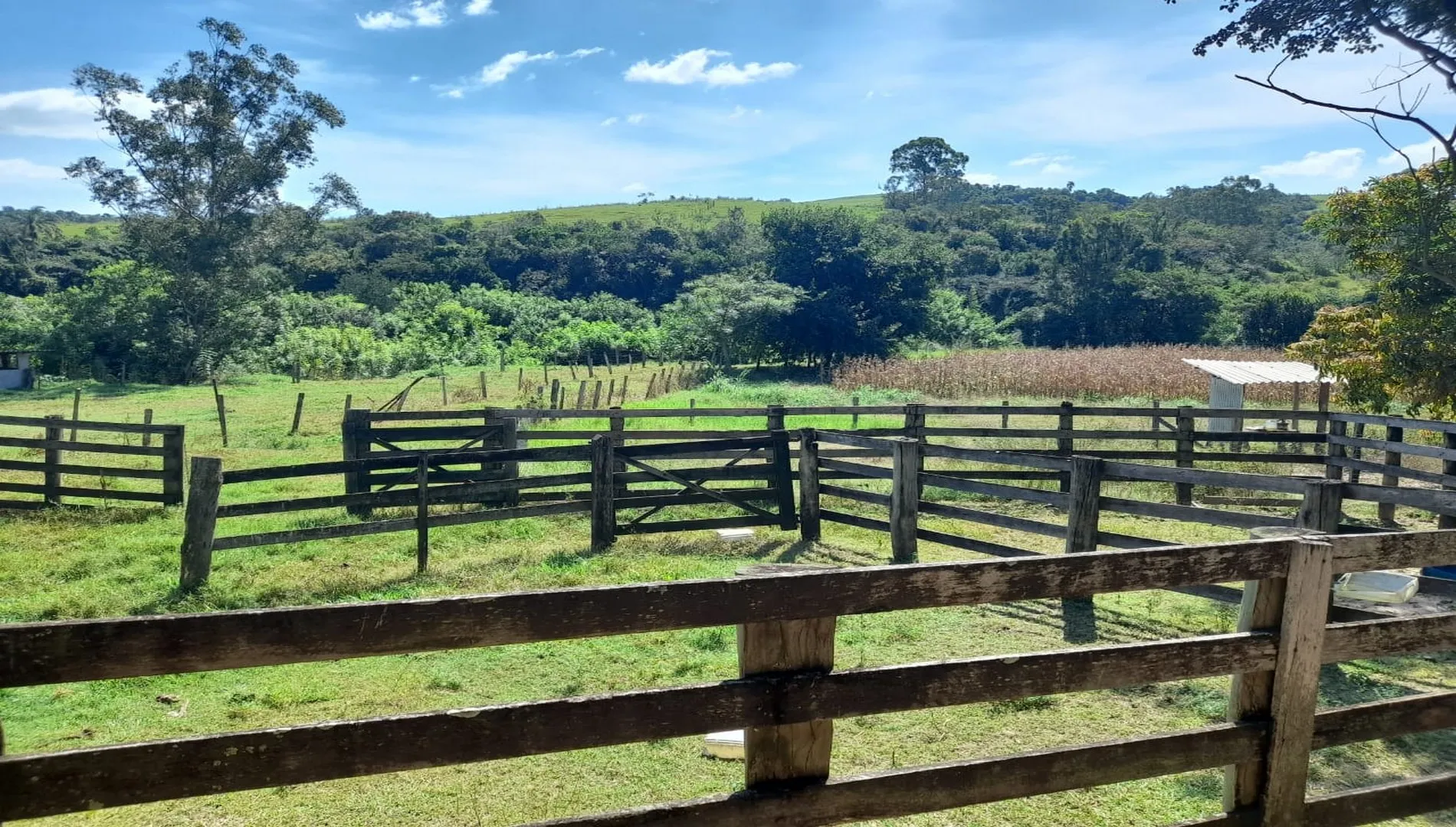 Imagem 11 do Sítio São Pedro