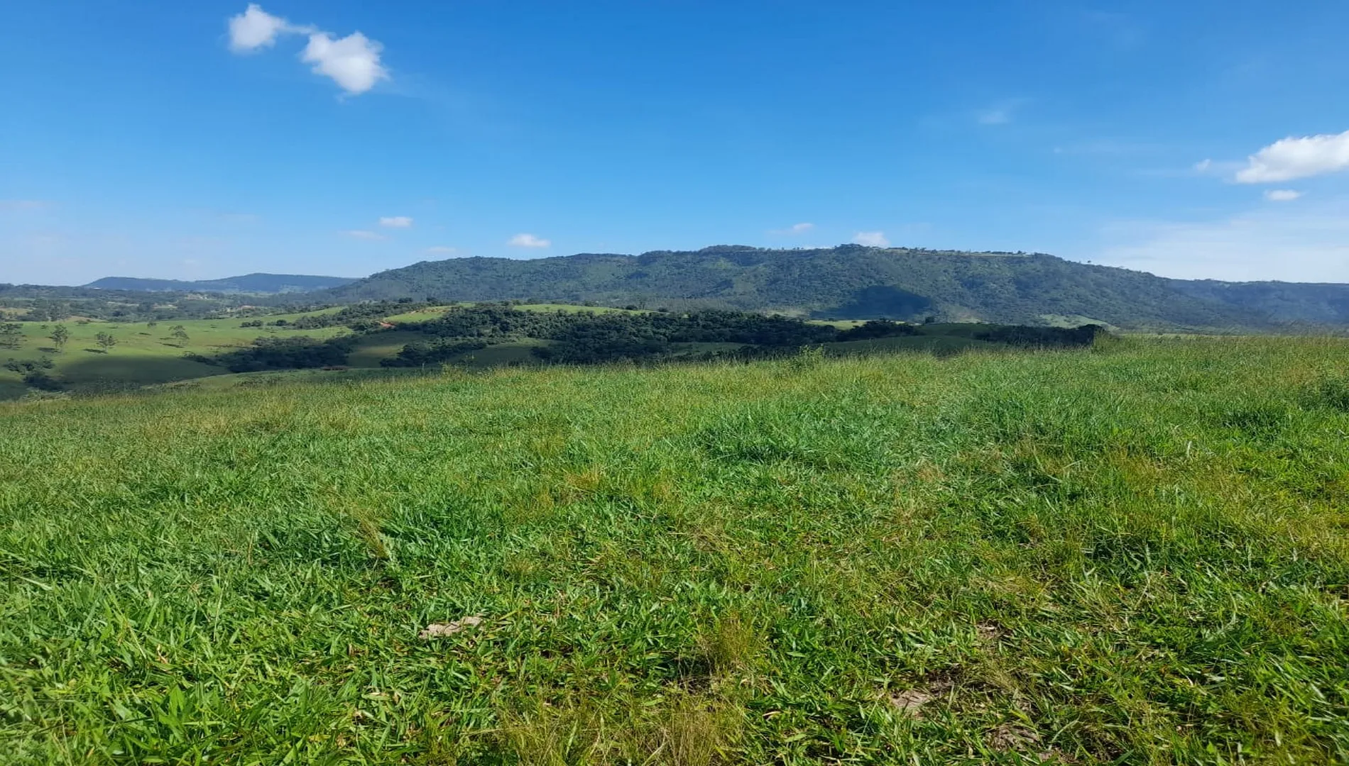 Imagem 2 do Sítio São Pedro