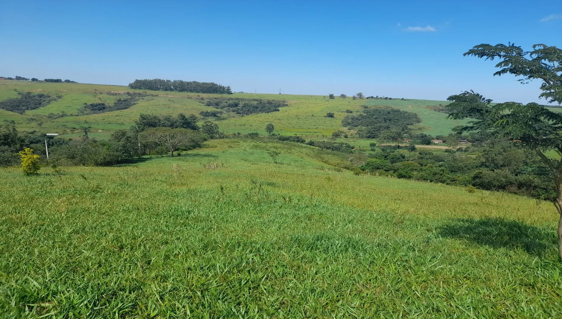 Imagem 4 do Sítio São Pedro