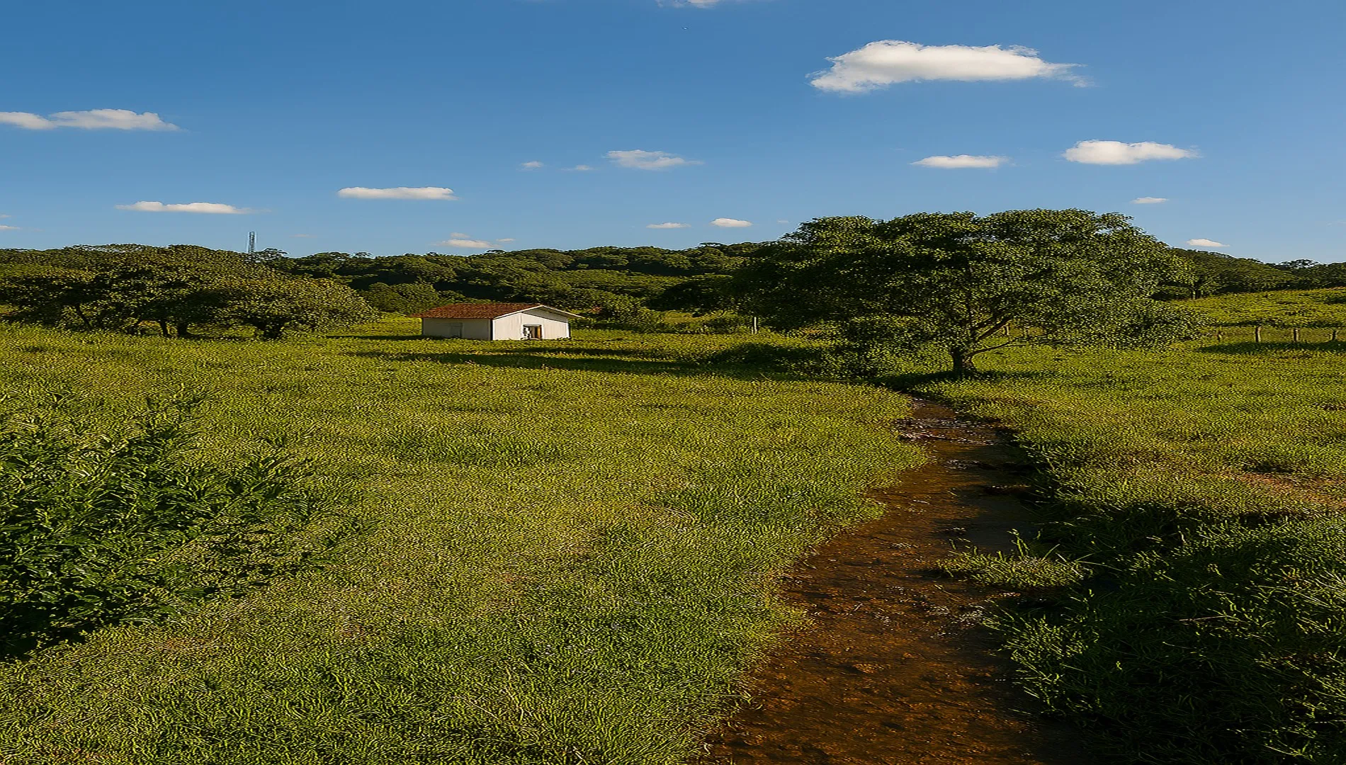 Imagem 3 do Terreno Comercial em Itapecerica da Serra